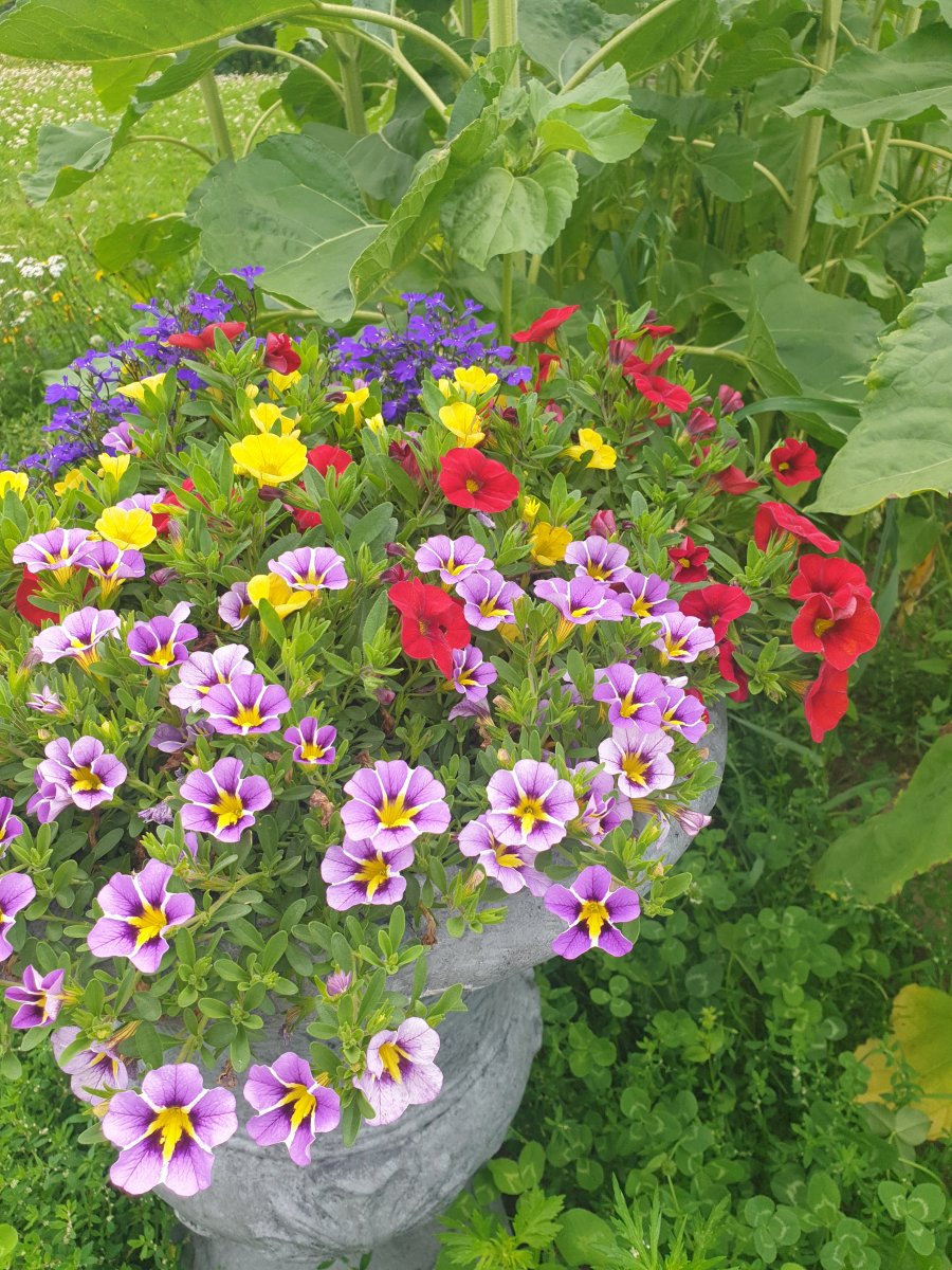 20240709_133834.jpg