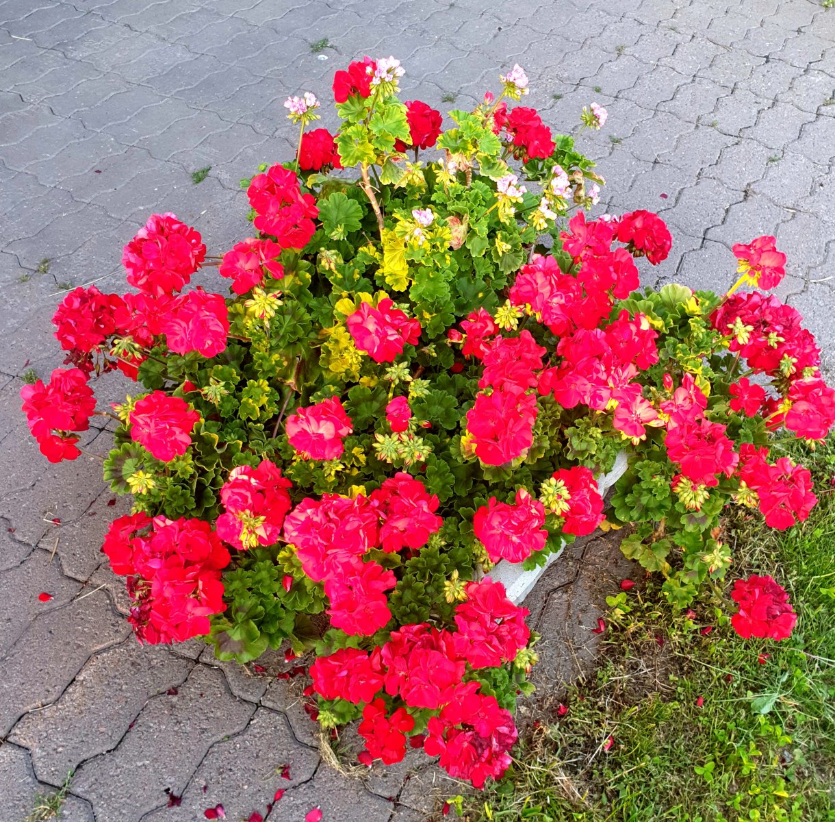 20240716_212805.jpg