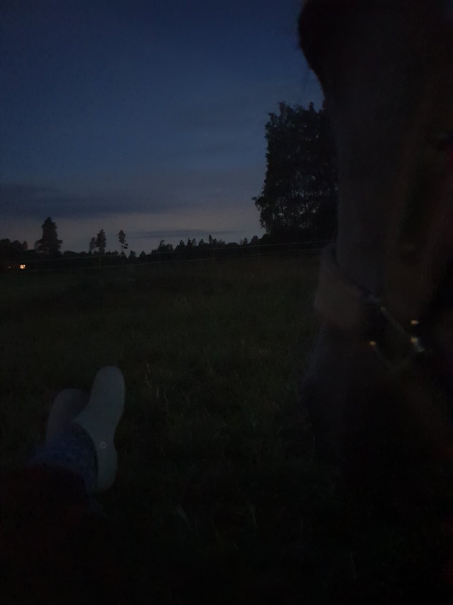 20240725_004937.jpg