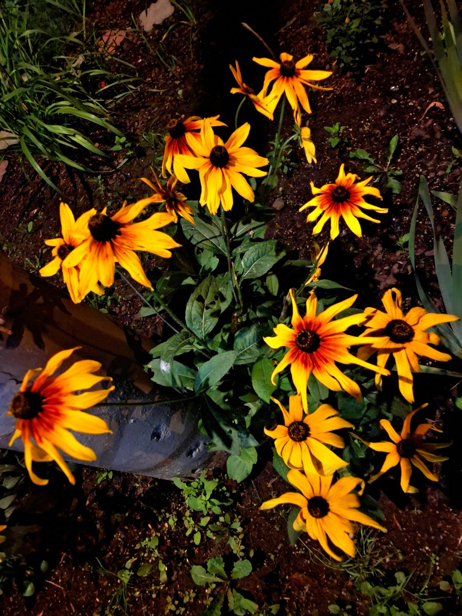 20240805_234102.jpg