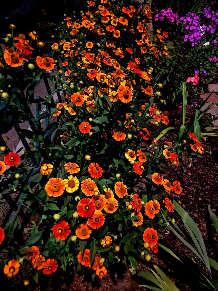 20240805_234118.jpg