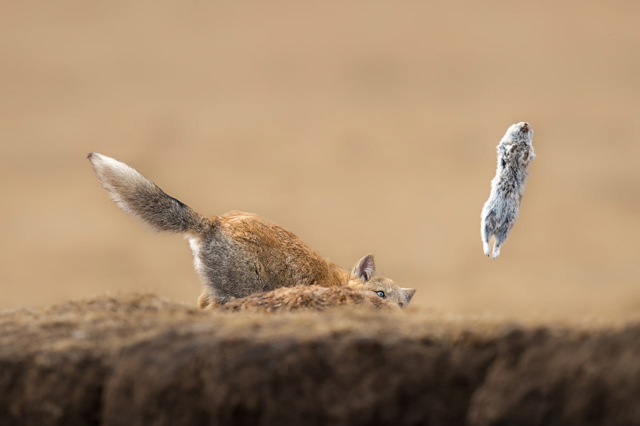 2025-11-29 14.59.08.jpg