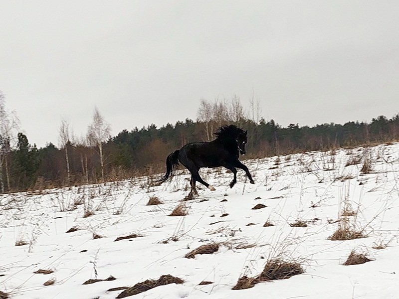 20250126_151554.jpg