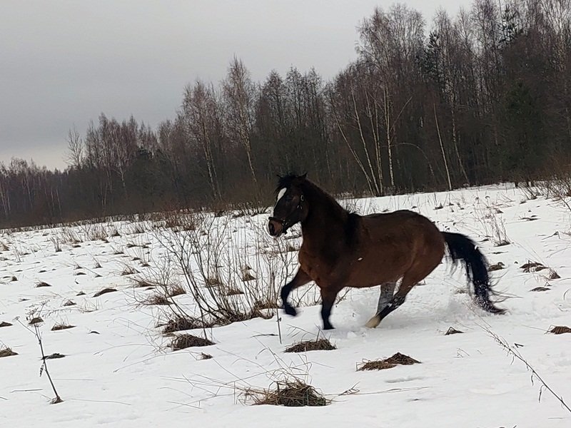 20250126_152403.jpg