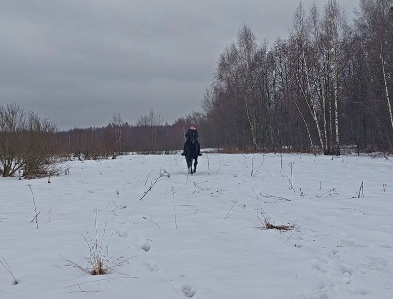 20250129_145051.jpg