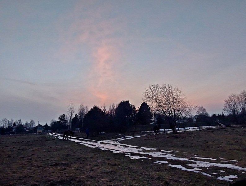 20250130_165947.jpg