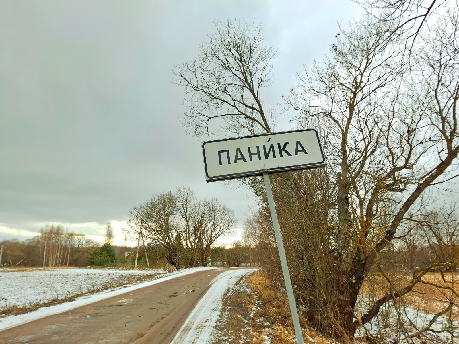 20250203_134613.jpg