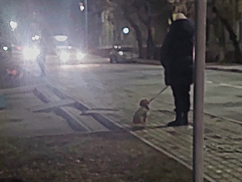 20250203_191902.jpg