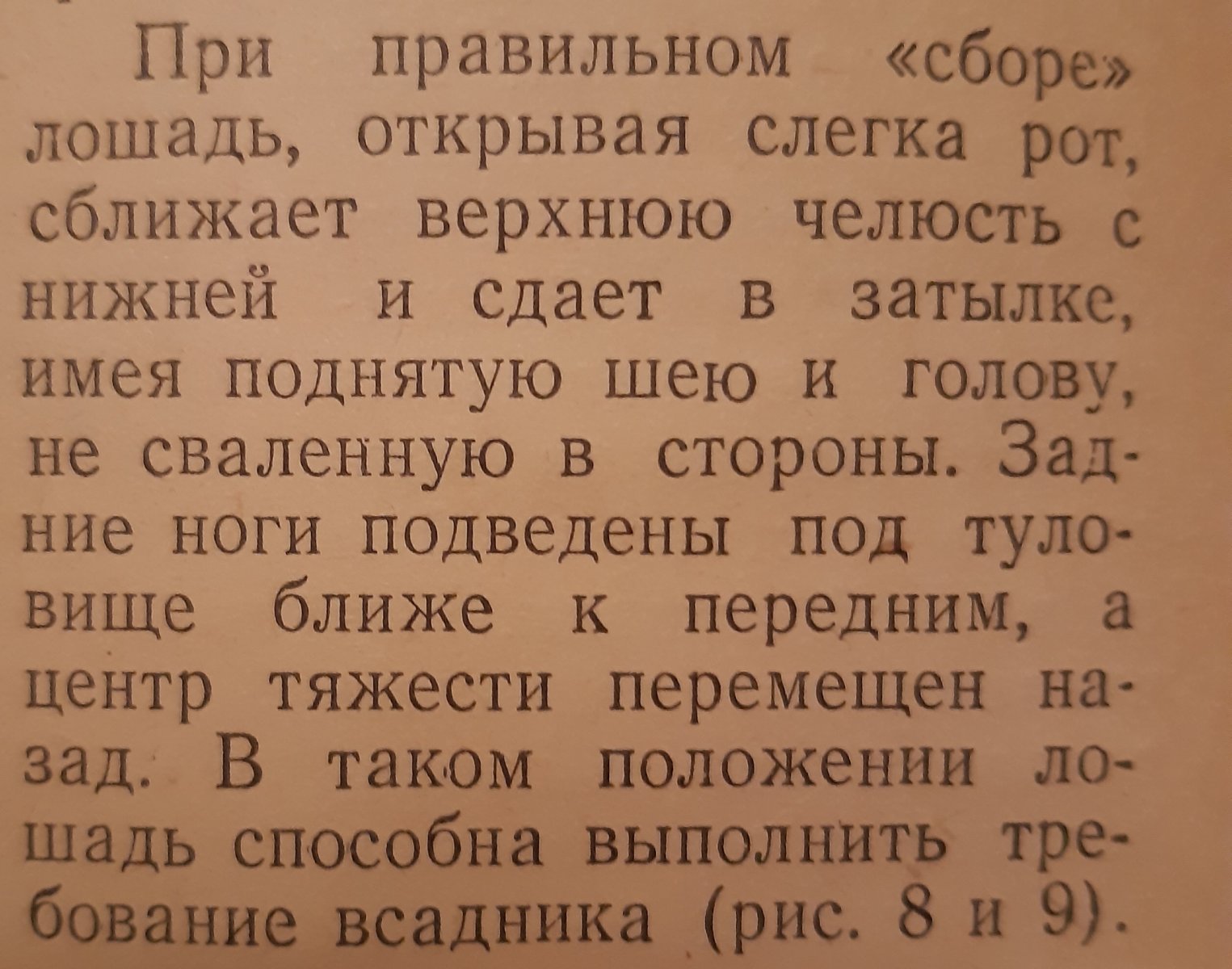 20250208_002847.jpg