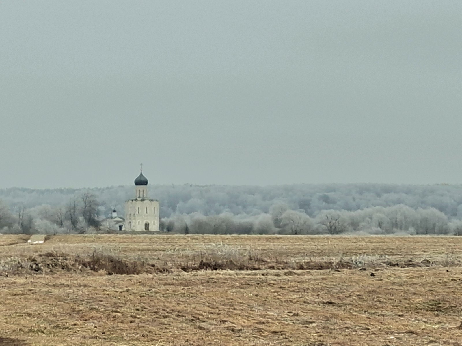 20250211_135244.jpg