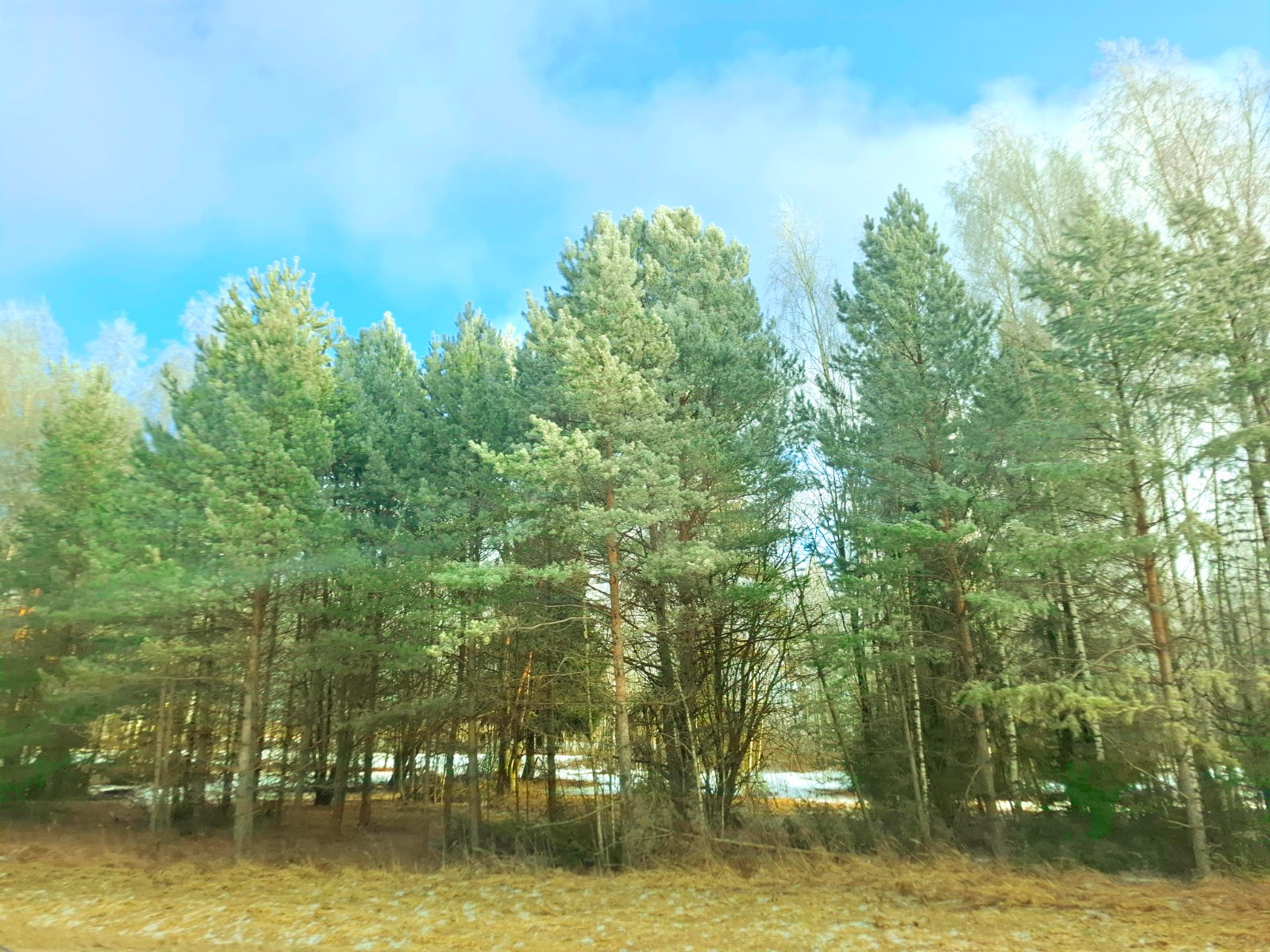 20250212_130823.jpg