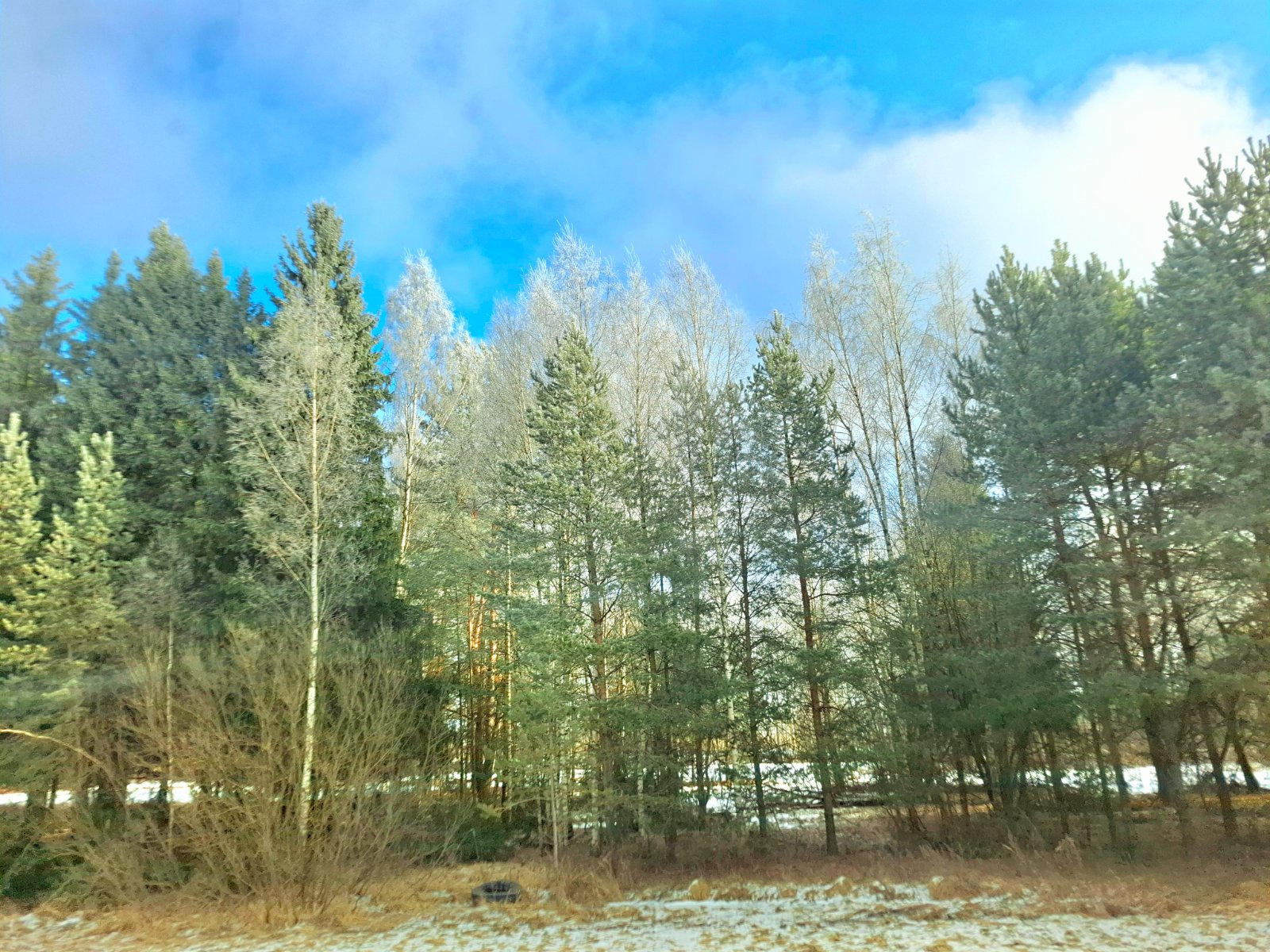 20250212_130824.jpg