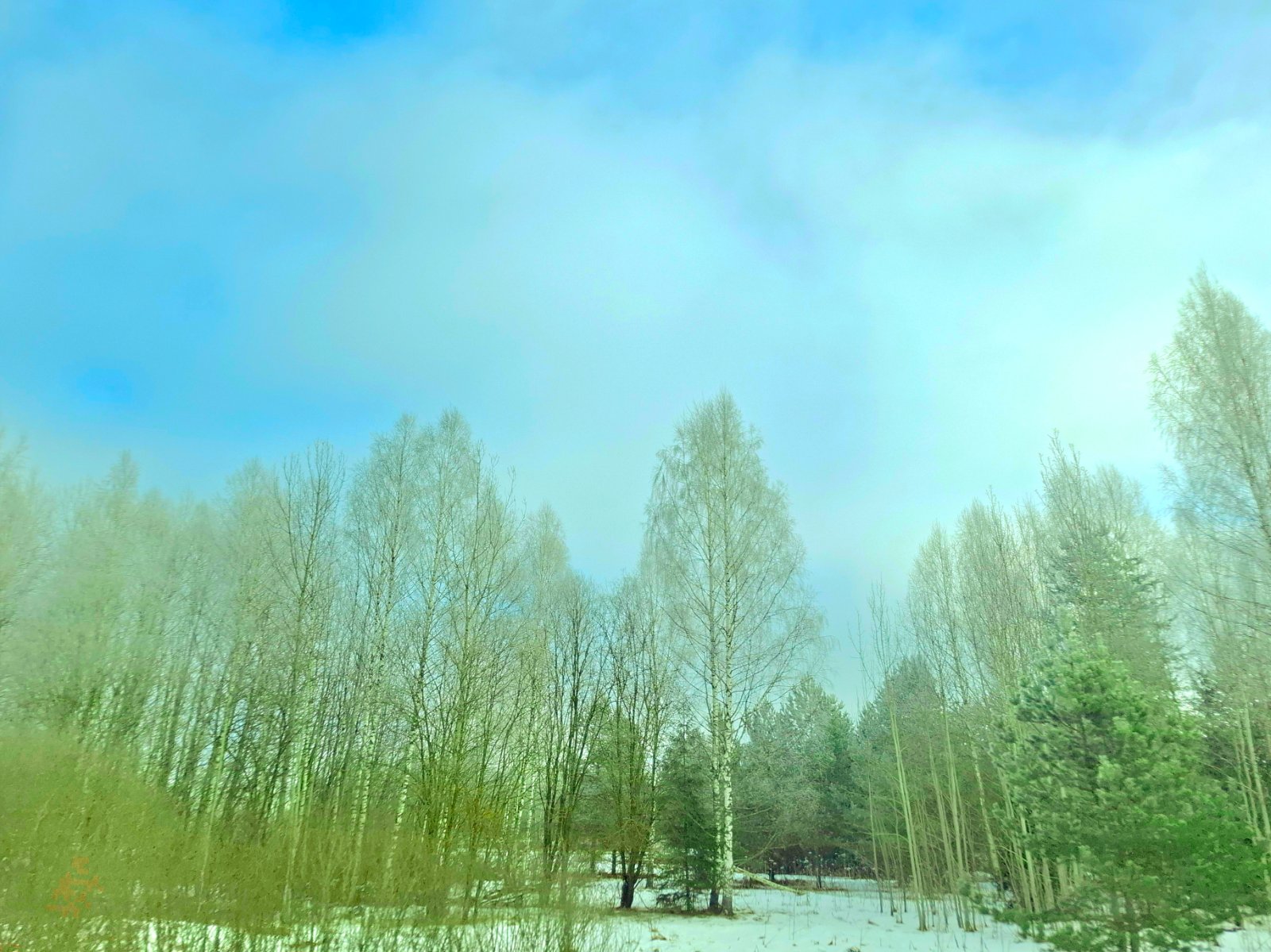 20250212_131514.jpg