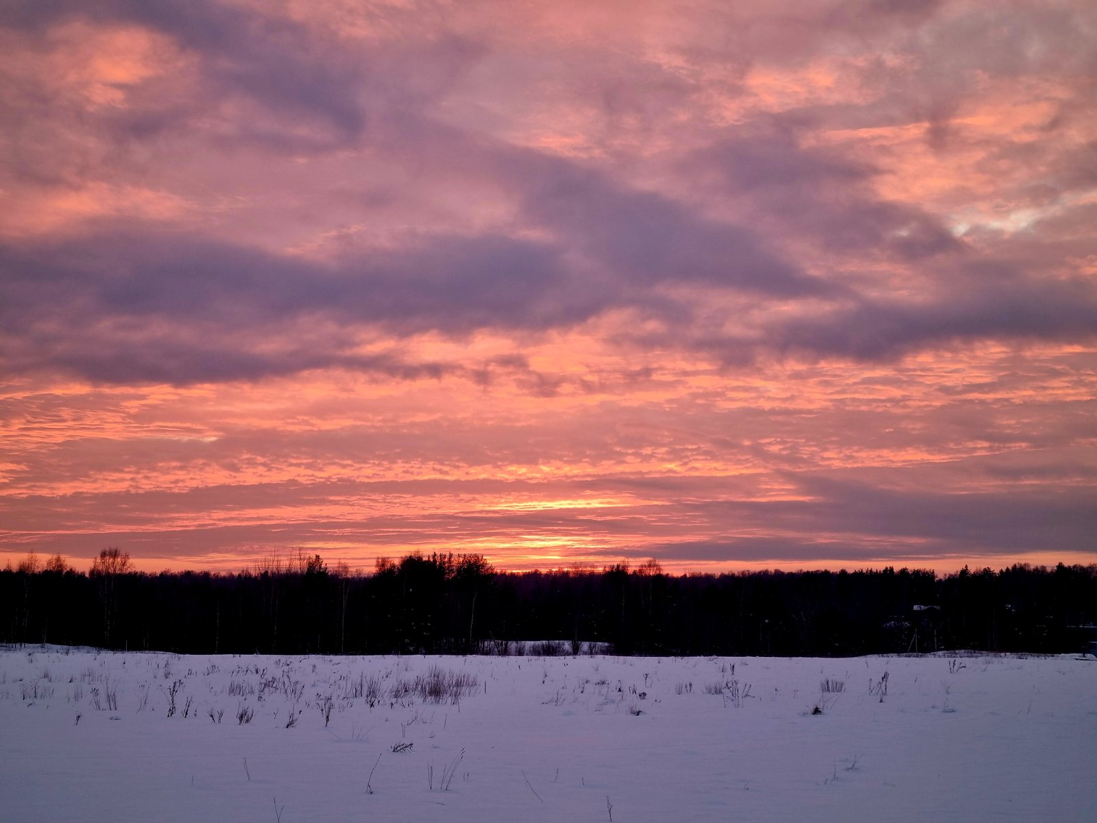 20250224_181631.jpg