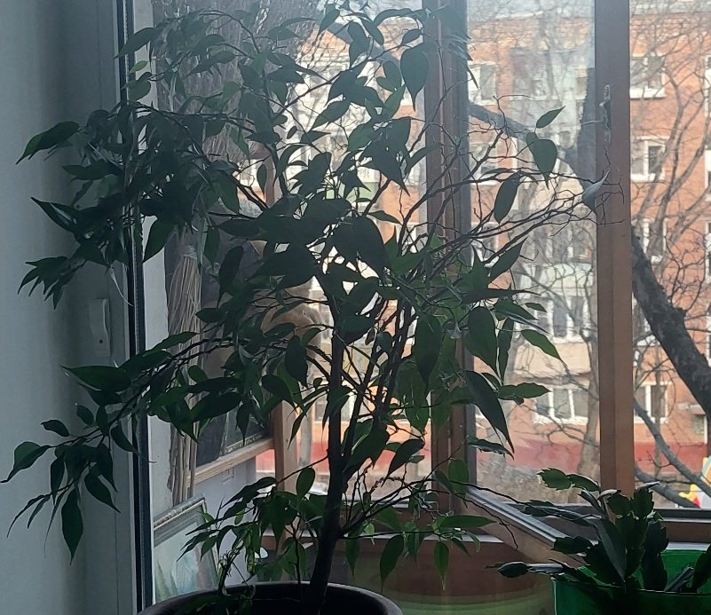 20250307_163253.jpg