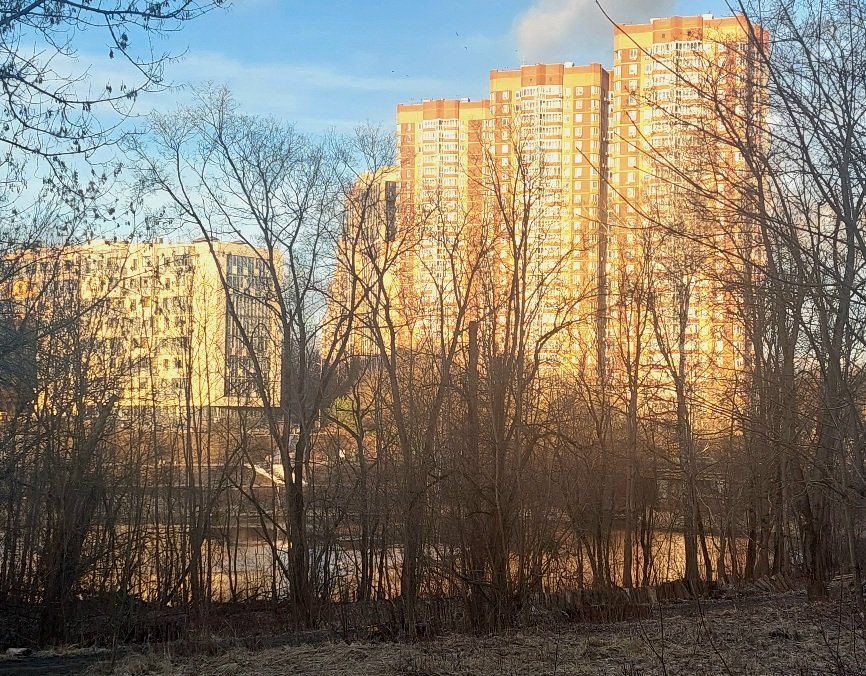 20250307_172831.jpg