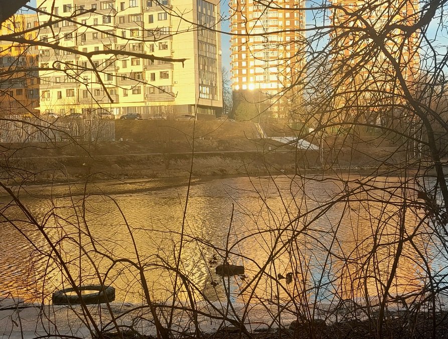 20250307_173535.jpg