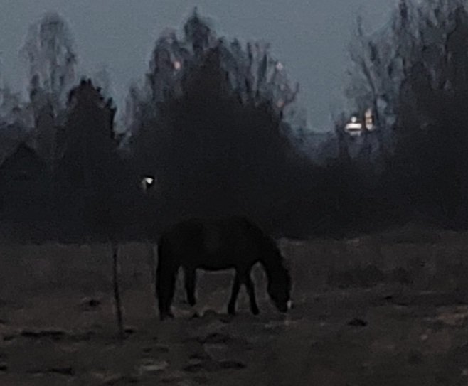 20250312_184224.jpg