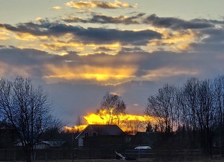 20250319_182028.jpg