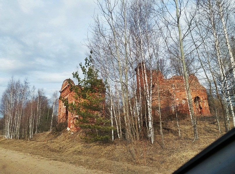 20250321_130701.jpg