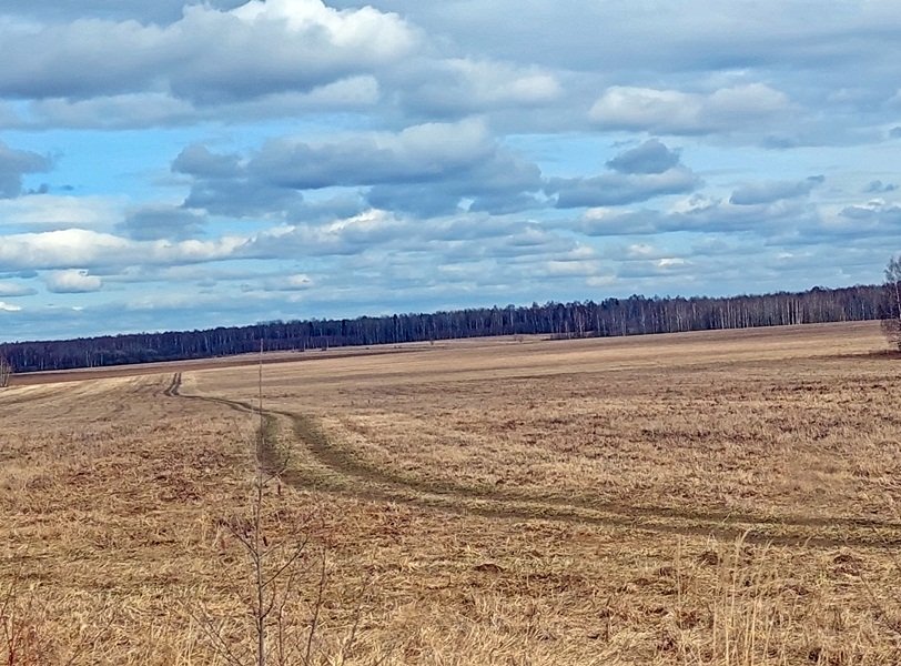 20250321_131342.jpg
