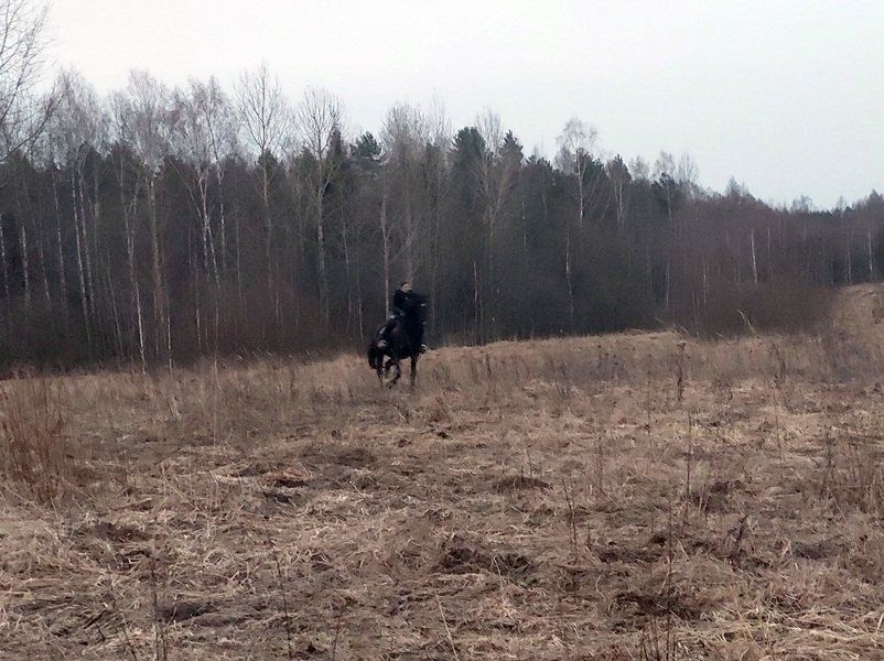 20250326_190411.jpg