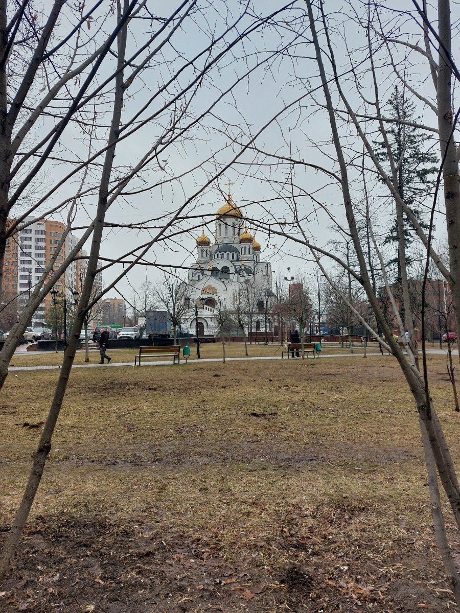 20250327_112741.jpg