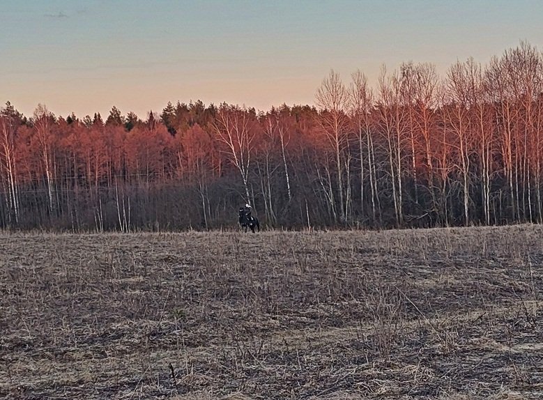 20250328_185245.jpg