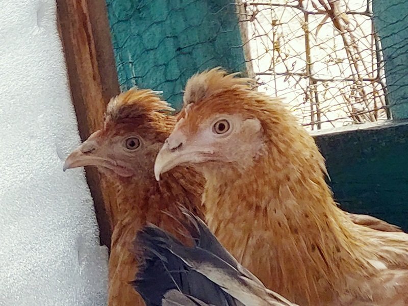 20250331_150900.jpg