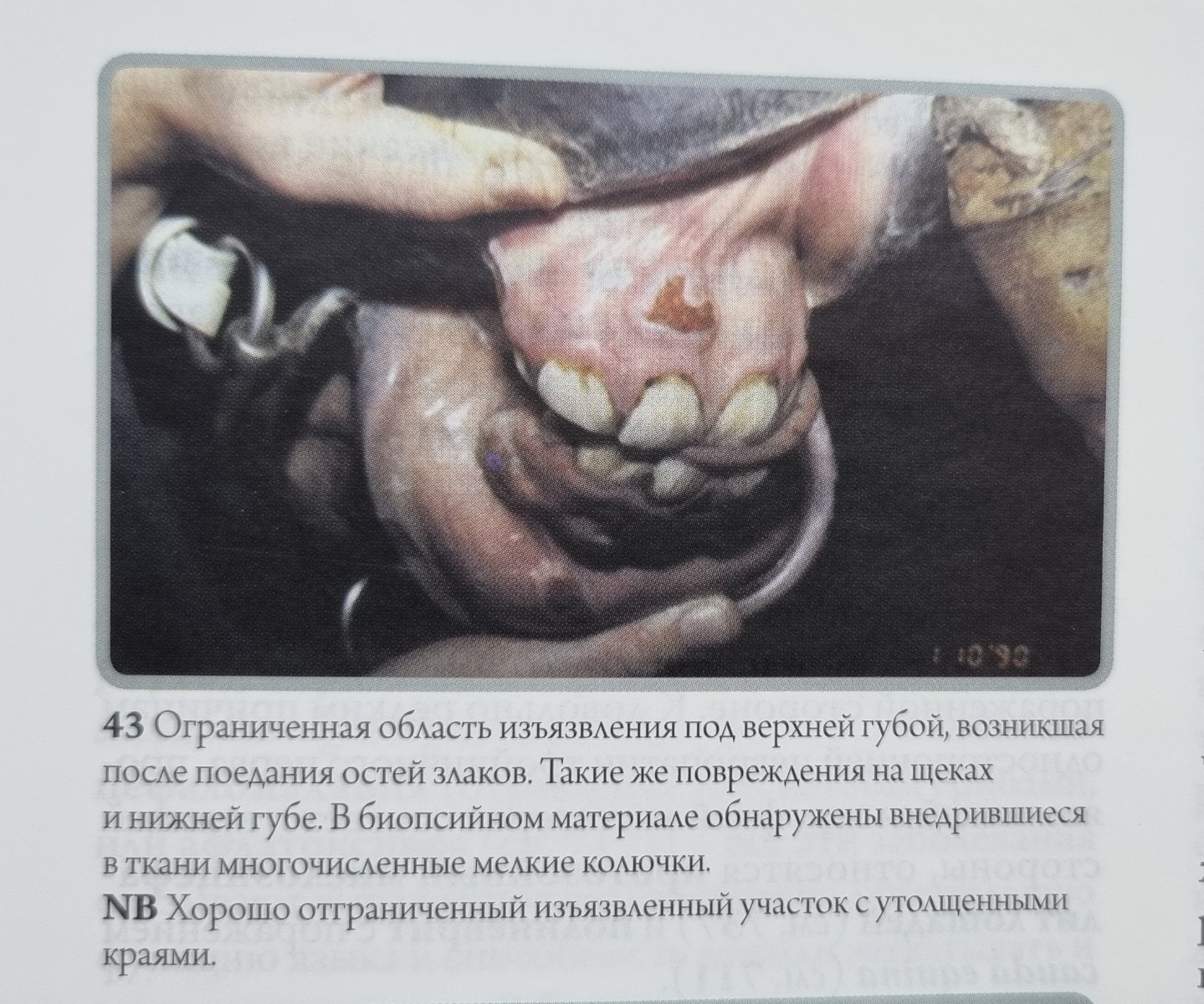 20250408_184105.jpg