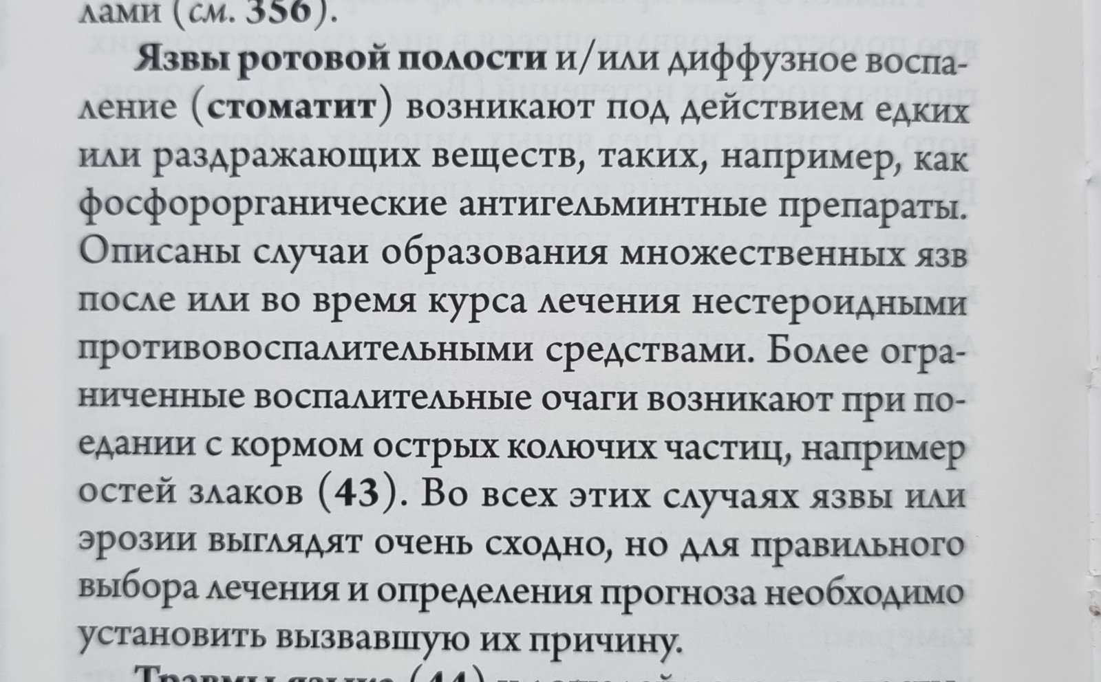 20250408_184113.jpg