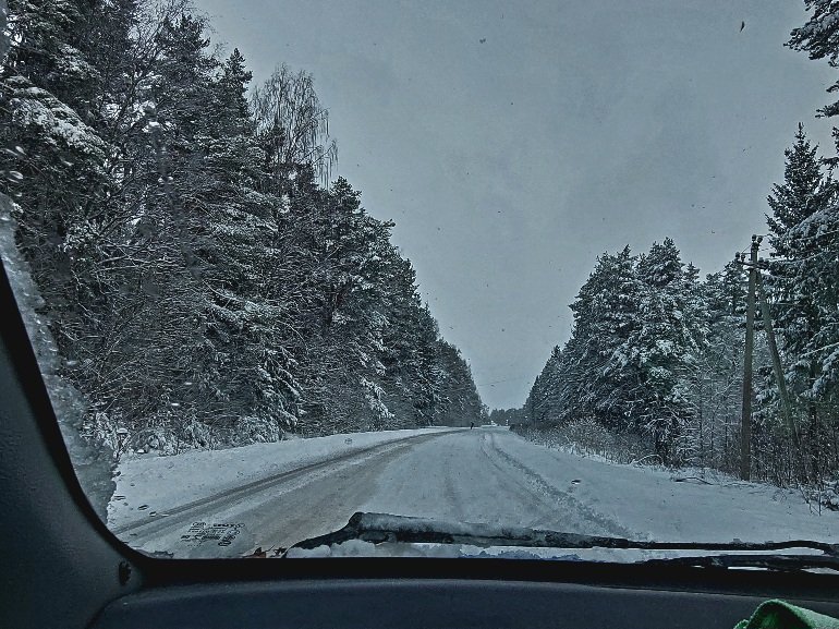 20250409_080406.jpg