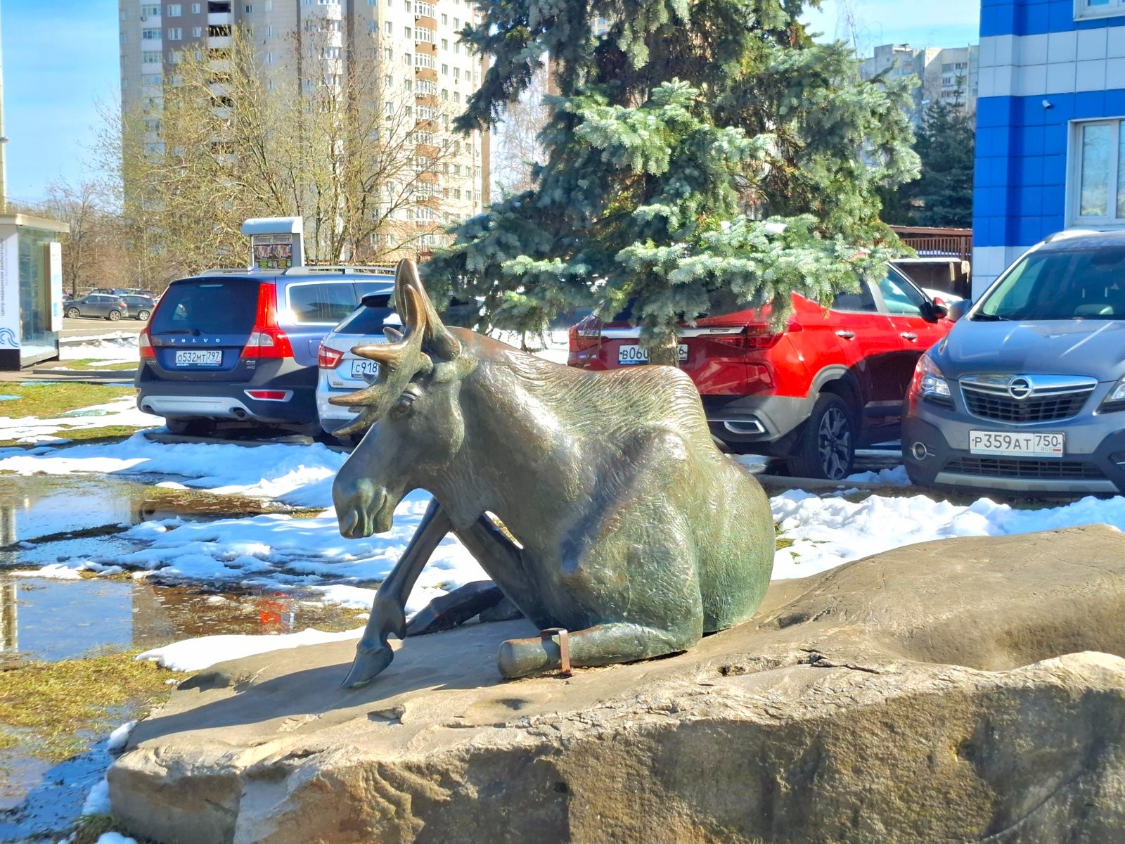 20250412_150533.jpg