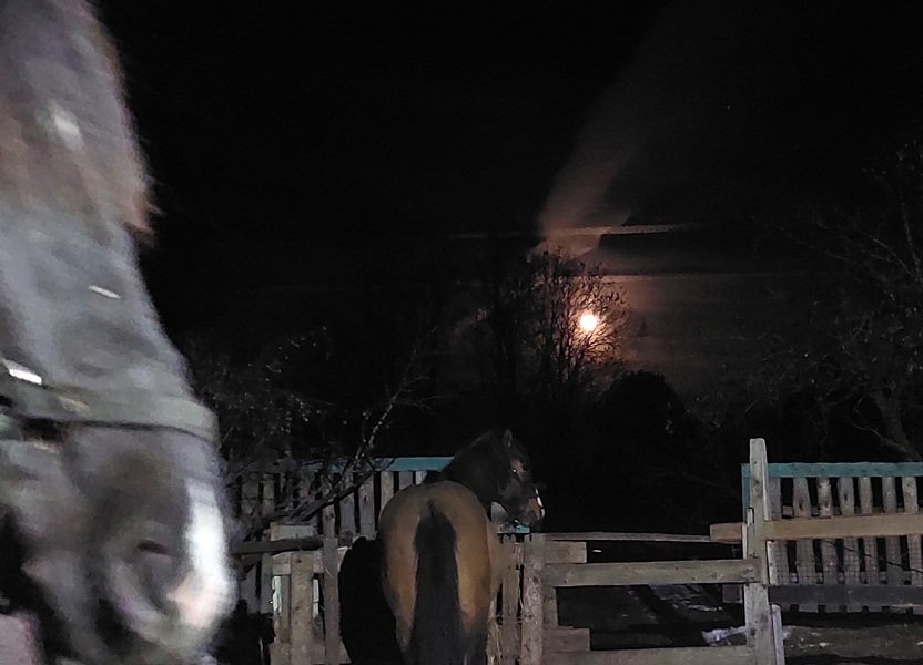 20250413_213438.jpg