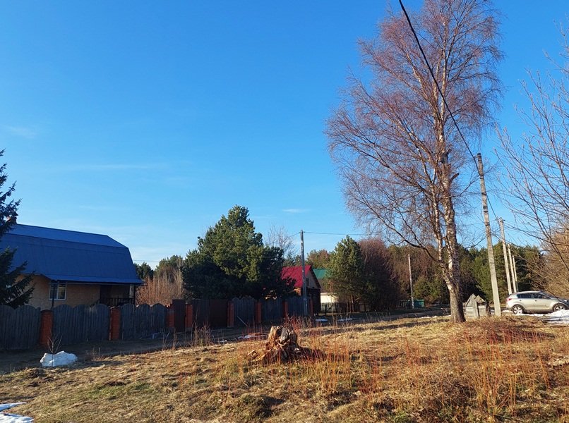 20250414_174528.jpg