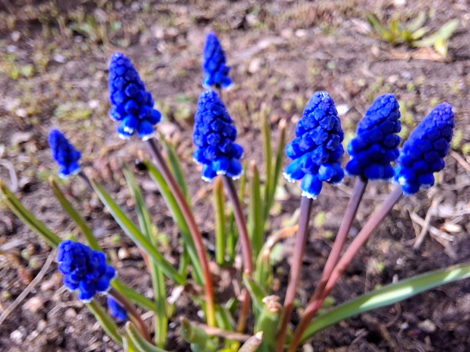 20250415_170812.jpg