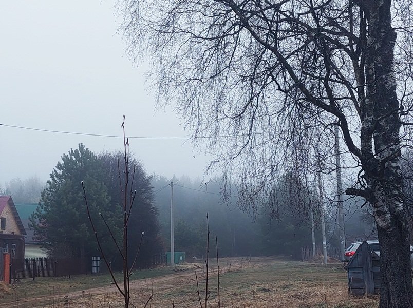 20250416_054353.jpg
