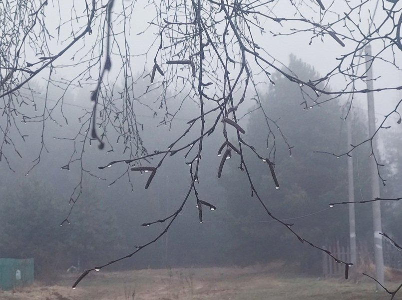 20250416_054443.jpg