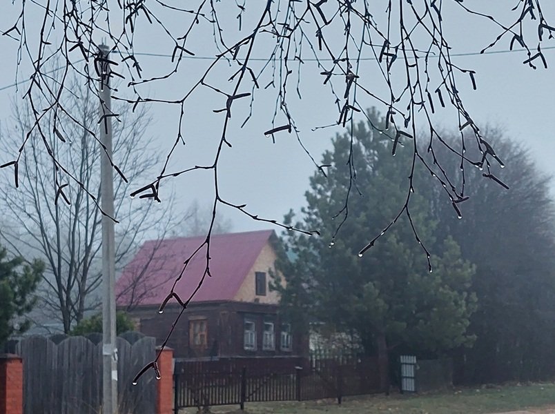 20250416_054537.jpg