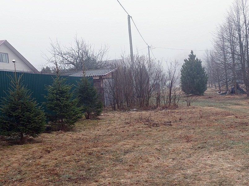 20250416_054925.jpg