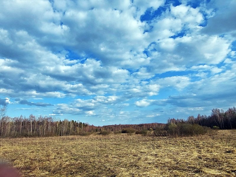 20250416_171612.jpg