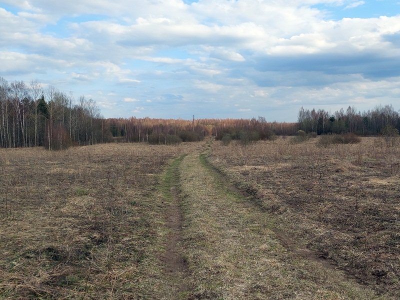 20250416_172455.jpg