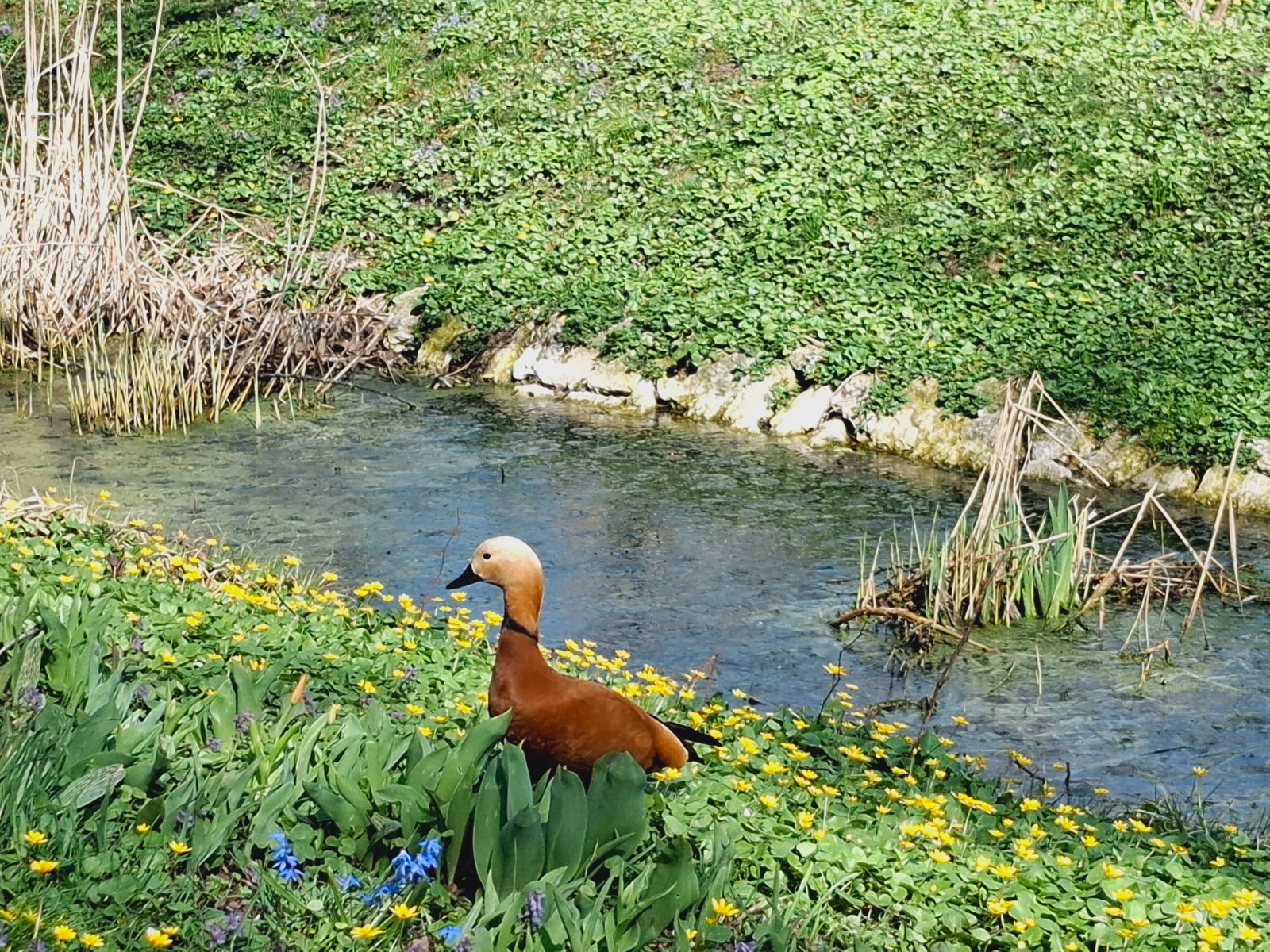 20250419_144344.jpg