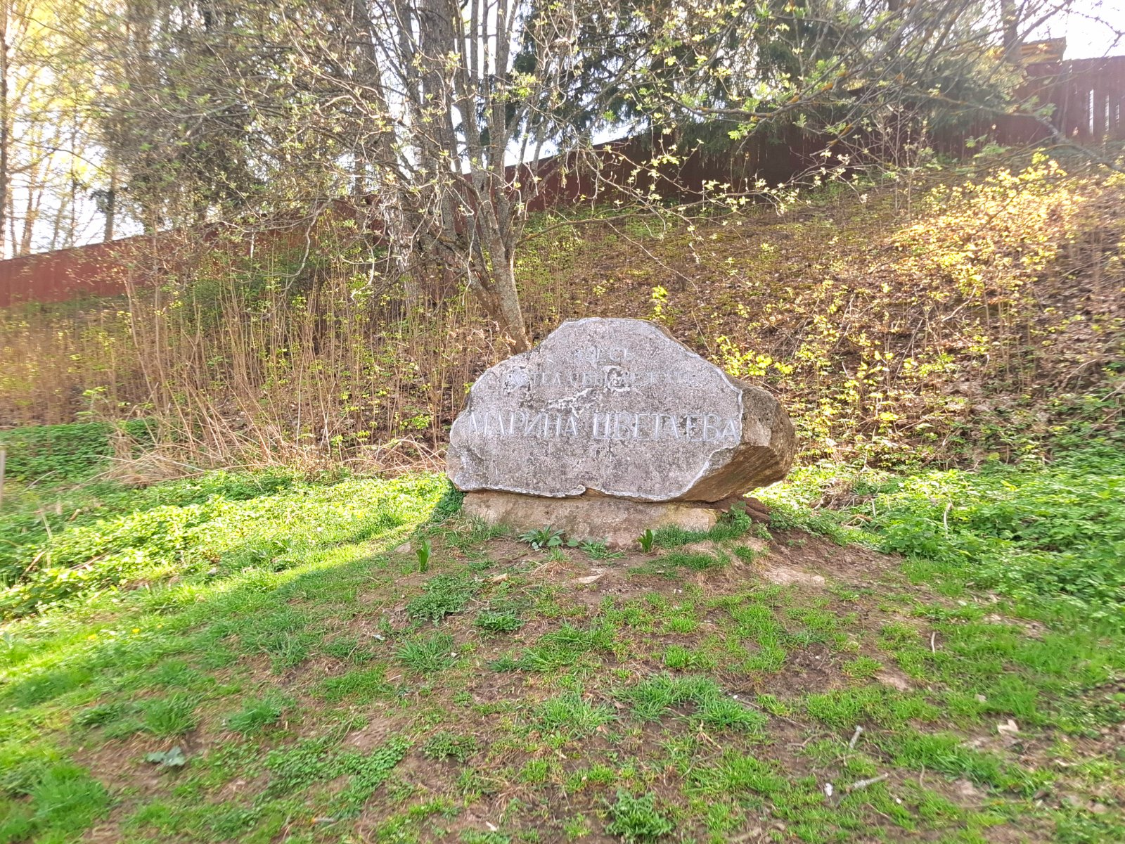 20250423_151300.jpg