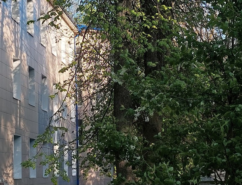 20250503_180204.jpg