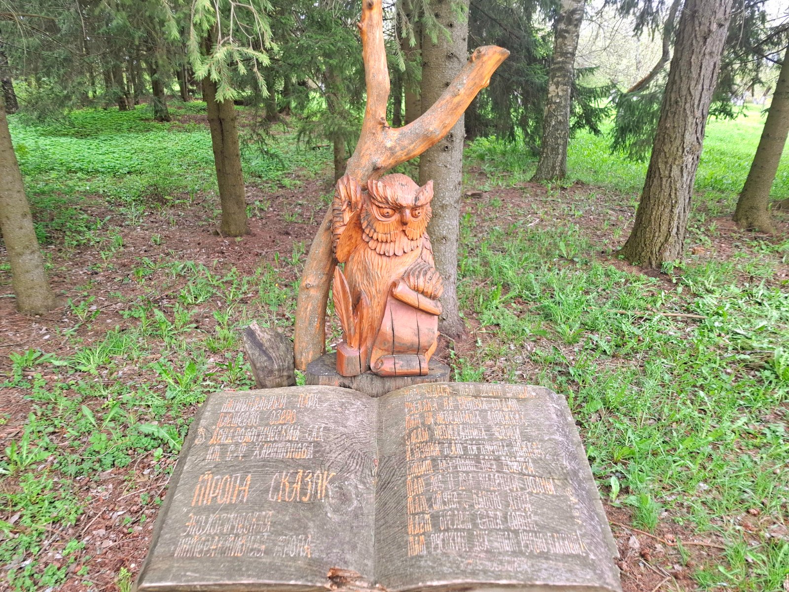 20250507_143543.jpg
