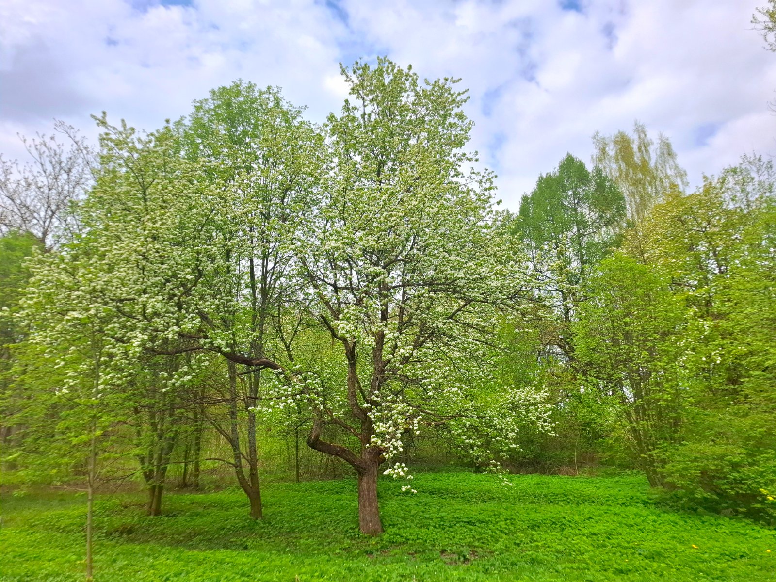 20250507_144918.jpg