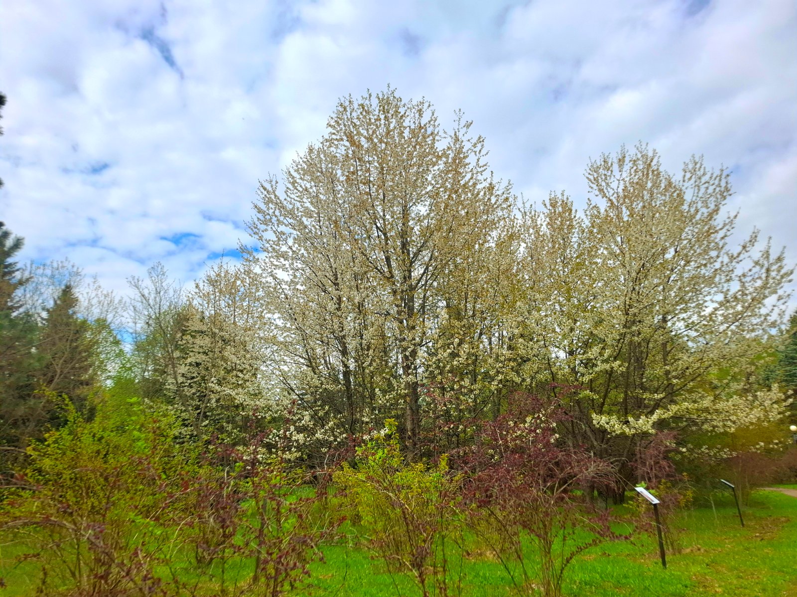20250507_150956.jpg