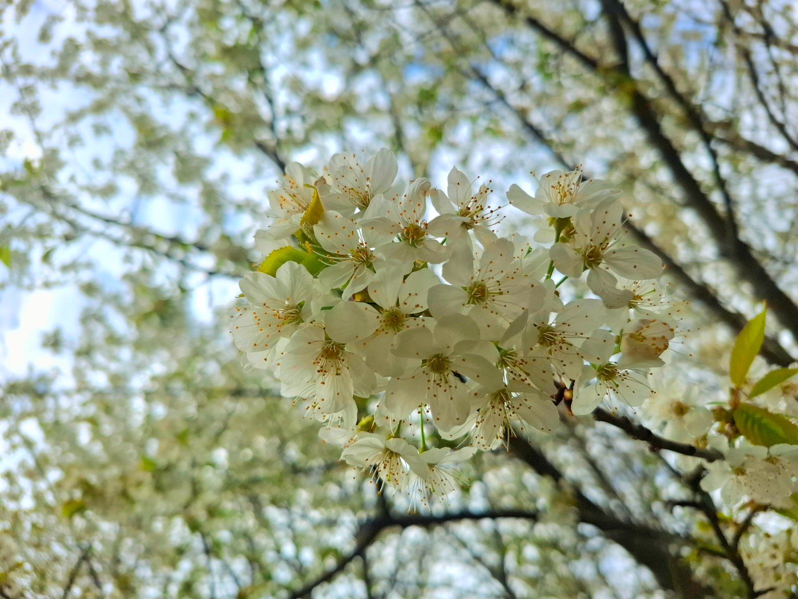 20250507_151047.jpg