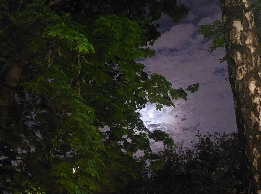 20250508_005030.jpg